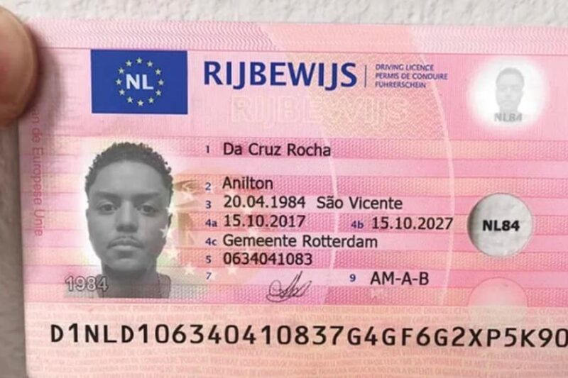 Buy Dutch driver license